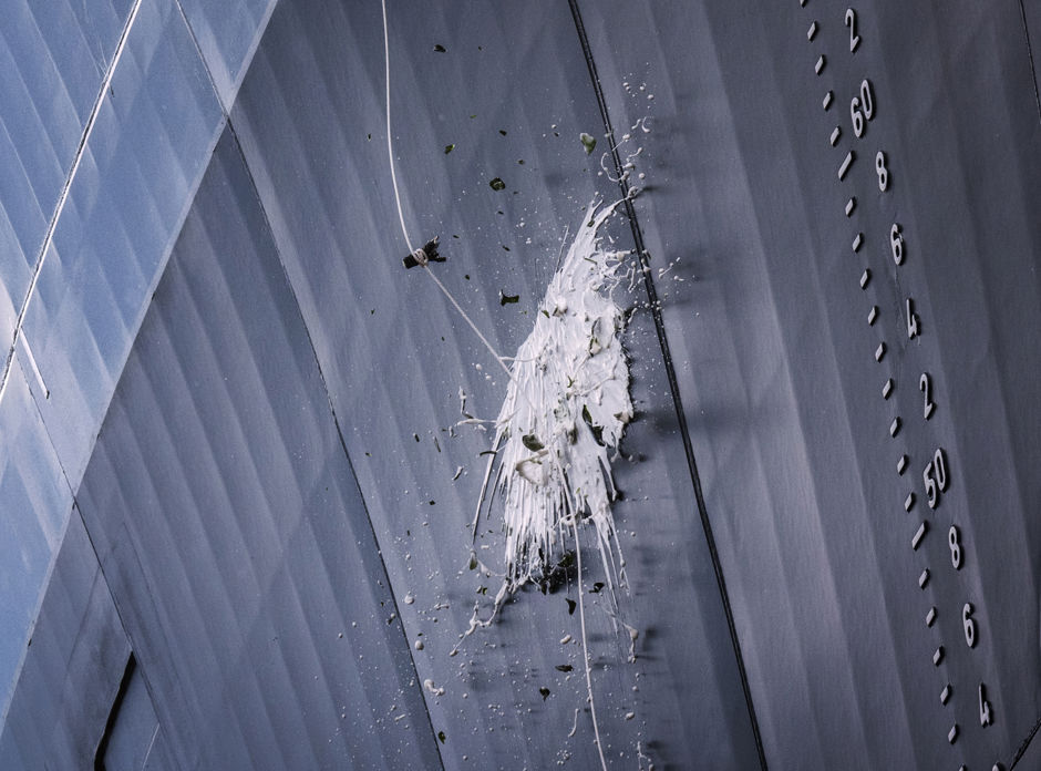 Doop Alexia Vdw4394 Crop