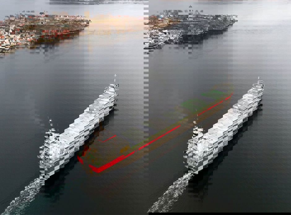 15585459 10154654376126061 4557597003548022383 O