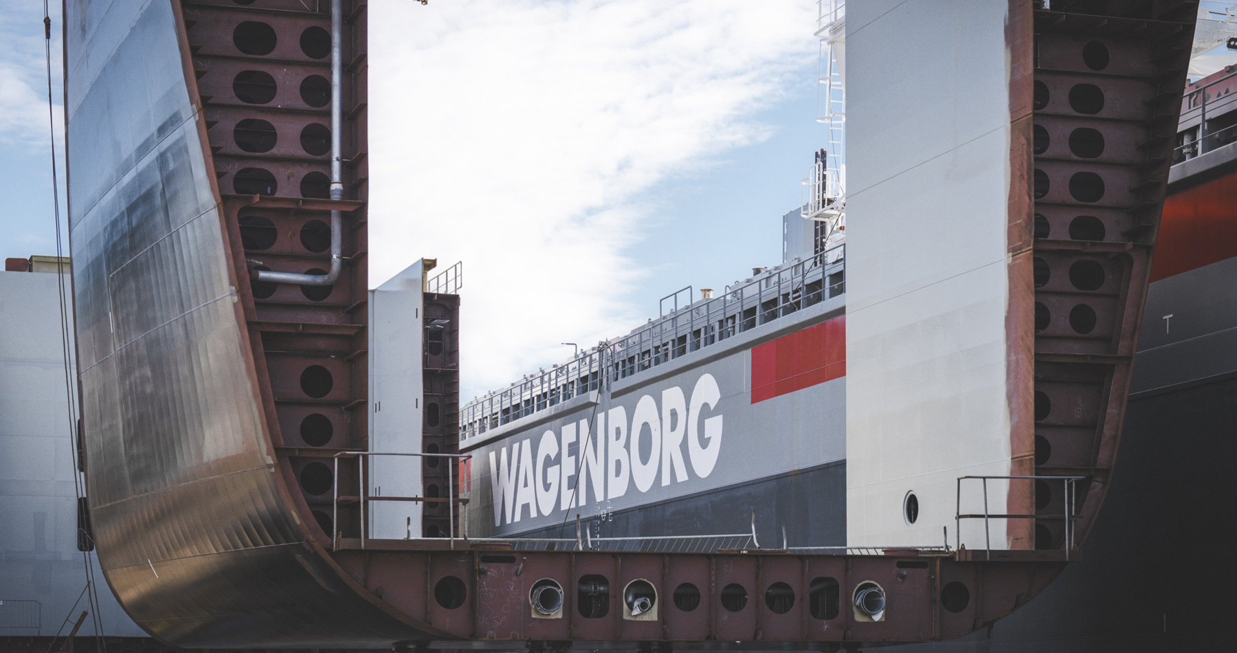 Fuel Flex Nex Generation Easymax