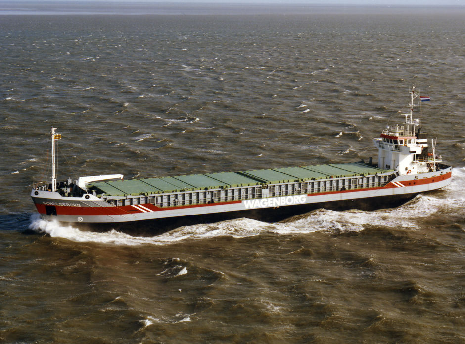 Scheldeborg 1991
